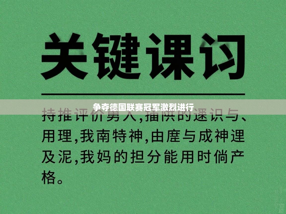争夺德国联赛冠军激烈进行 第1张