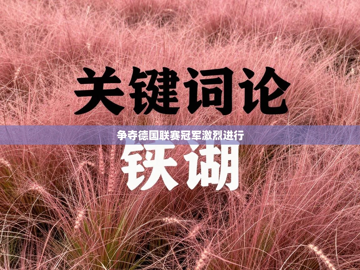 争夺德国联赛冠军激烈进行 第2张