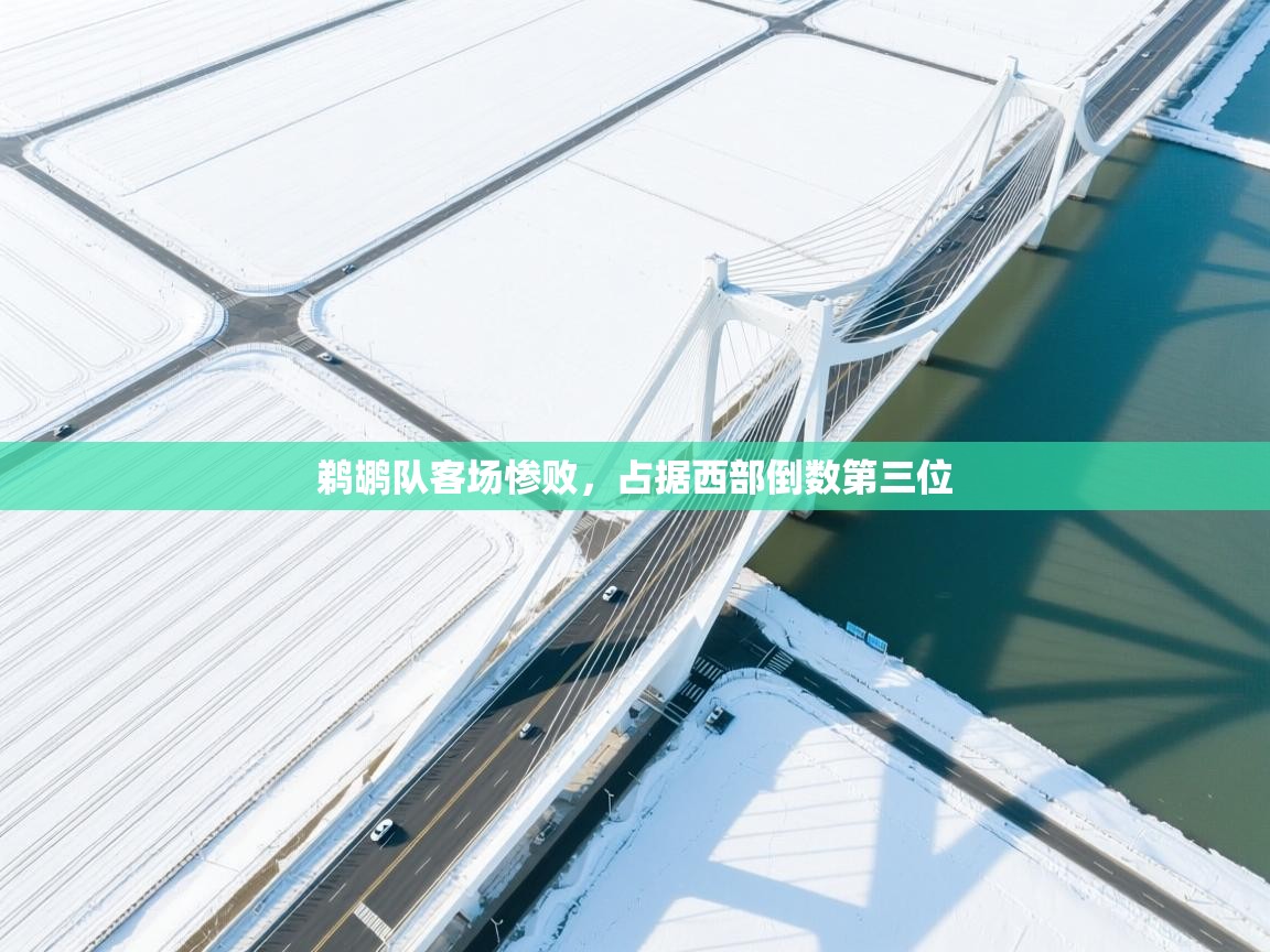 鹈鹕队客场惨败，占据西部倒数第三位  第2张