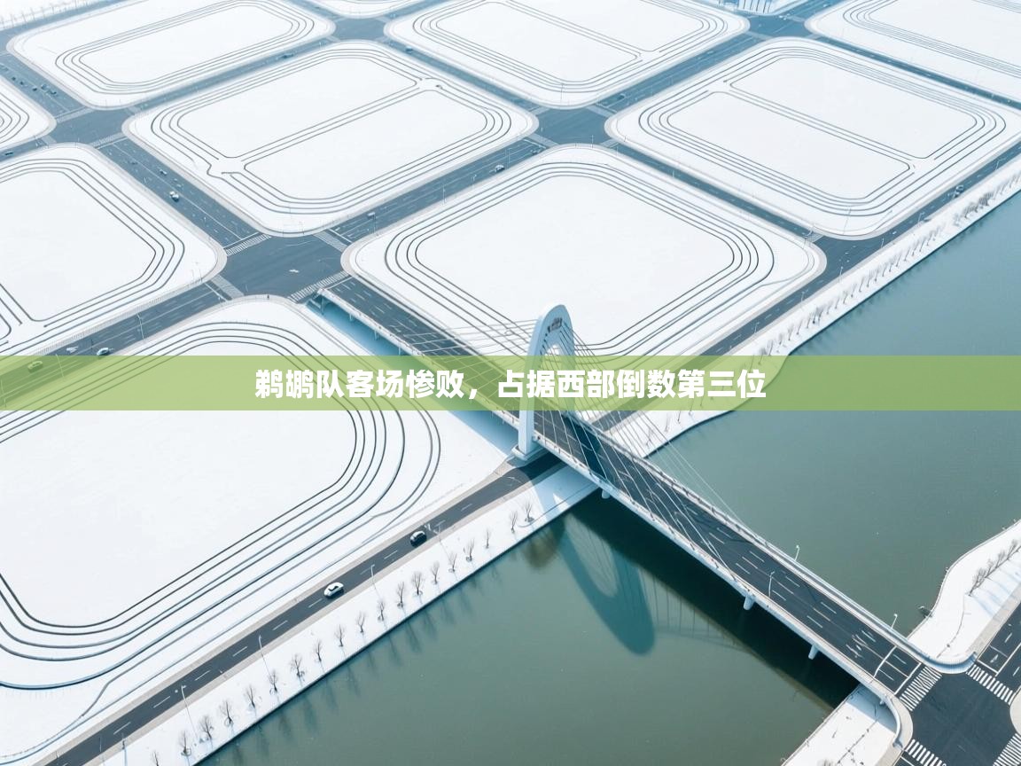 鹈鹕队客场惨败，占据西部倒数第三位  第1张